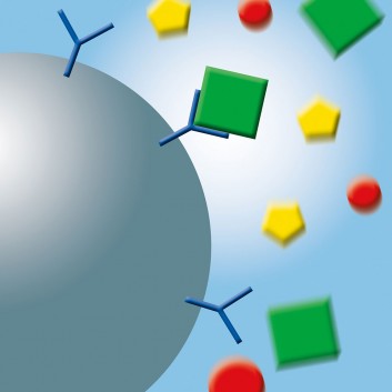 Coating of the particles with reaction partners